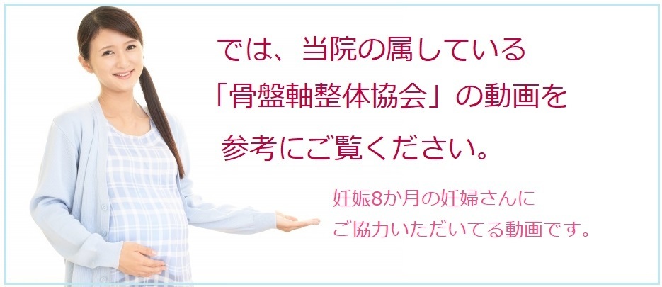 マタニティー整体マニュアル DVD 3枚組 マタニティー整体マニュアル 和整体 日本整体協会